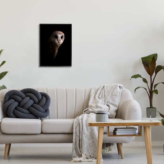 Stupell Industries Intense Barn Owl Black Shadow Photography Framed Giclee Art